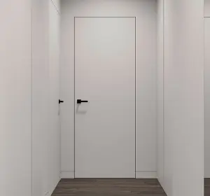 Двери скрытого типа