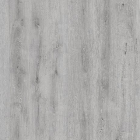 Laminat Camsan Silver Liva Oak 5003 8 mm clas 31-1