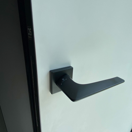Скрытая дверь межкомнатная Danapris Doors-4