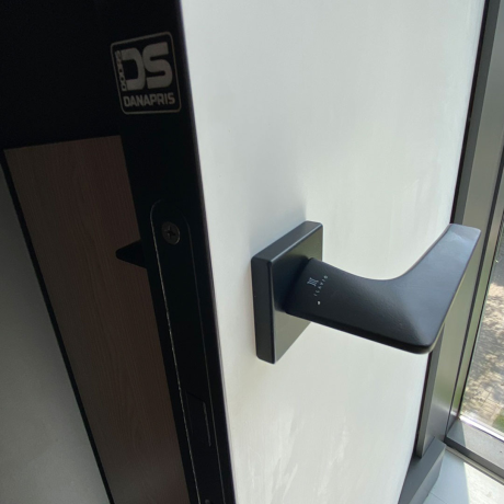 Скрытая дверь межкомнатная Danapris Doors-5