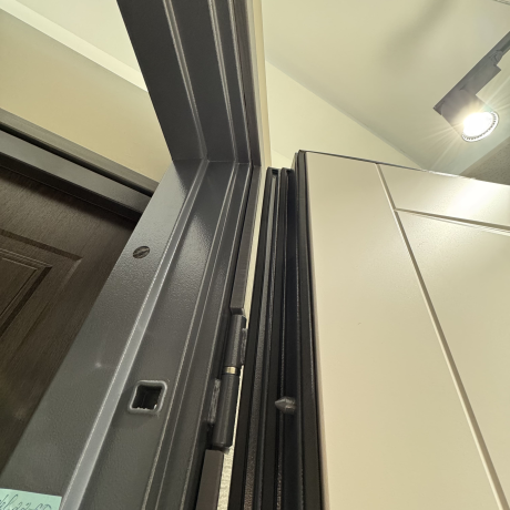 Дверь входная для квартир Termoplast 22-60 Perfect-4